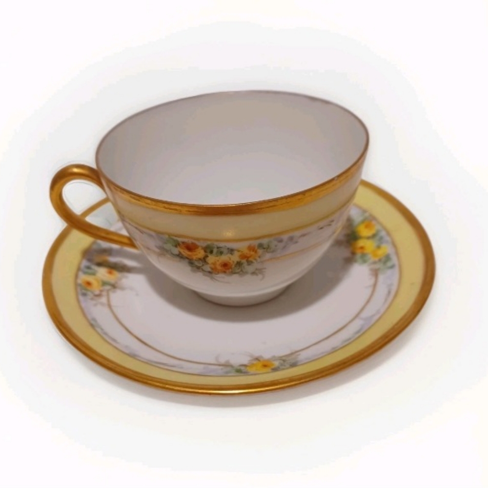 Bates & Chetwynd Antique Tea Cup And Saucer Made in Austria